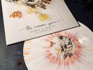 The Wonder Years BURST & DECAY Splatter EP VINYL RECORD New & Sealed