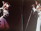 DOUBLE 33T ELVIS PRESLEY -ELVIS IN CONCERT- RCA UK - EXCELLENT ETAT