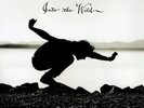 Eddie Vedder - Into The Wild 180g Vinyl LP IN STOCK NEW/SEALED Pearl Jam