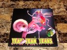 Yeah Yeah Yeahs Karen O Hand Signed Limited Edition Vinyl Record Mosquito + COA