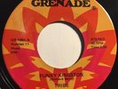 * TRIBE Funky Kingston/Dilly Dally Hustle REGGAE FUNK DISCO Grenade  45 Hear