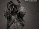 The Congregation, Leprous, Vinyl, 5052205071311