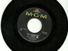The Leather Boy (Milan) I'm A Leather Boy/ Shadows 1967 orig US 7
