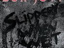 Bon Jovi - Slippery When Wet (Vinyl Used Like New)