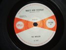 THE WAILERS - WHAT'S NEW PUSSYCAT   (Ska)  45