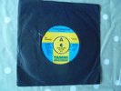 RAY MUNNINGS  'It Could Happen to You' 1979 UK Demo TAMMI RECORDS TAM.102  MINT-