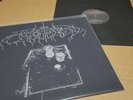 Wolves in the throne room demo 12
