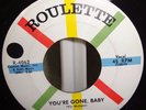 JIMMY LLOYD ROCKABILLY 45 - I GOT A ROCKET IN MY POCKET/ YOU'RE GONE BABY