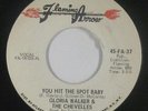 Funk 45 - Gloria Walker & Chevelles - You Hit The Spot - Flaming Arrow - VG+ mp3
