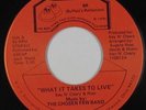 Modern Soul 45 - Chosen Few Band - What It Takes To Live - BR - NM mp3 - rare