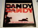 THE JESUS AND MARY CHAIN - PSYCHOCANDY VINYL LP NM US 1985 REPRISE  9 25383-1
