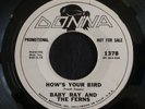 Baby Ray & The Ferns, How's Your Bird on Donna 1378, Frank Zappa