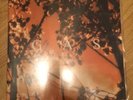 GAS Königsforst 2x12” Wolfgang Voigt Mille Plateux Ambient Techno Dub
