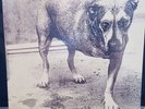 Alice In Chains - Shame In You - 1995 - Vinyl - Rock