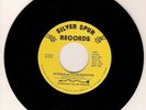 Power Pop 45 STRAIGHT AS AN ARROW Intergalactic Integration Silver Spur HEAR