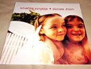 Smashing Pumpkins Siamese Dream Sealed 2 LP 1993 Virgin