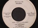 MONTAINES FEAT. VIC FONTAINE: Baby, What's Your Name? / Little Old Winemaker 45