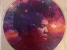In From The Storm Jimi Hendrix Tribute Picture Disc LP Mint vinyl Rock and roll