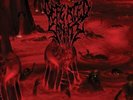 DEFEATED SANITY - PRELUDE TO THE TRAGEDY NEW VINYL