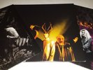 7x LP The Dead Weather + The Raconteurs VINYL STUDIO ALBUM DISCOGRAPHY