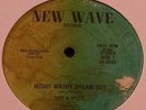 Hot & Spicy - Wishy Washy Dream Boy 12
