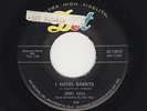 '58 Rocker/Instro JERRY NEAL/EDDIE COCHRAN I Hates Rabbits/Scratchin' M- HEAR