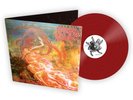 Morbid Angel - Blessed Are The Sick LTD Red FDR LP Death Obituary Carcass Nile