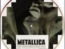 METALLICA UNNAMED FEELING RARE Vinyl Record Picture Disc