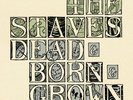 The Staves-Dead & Born & Grown  Vinyl / 12