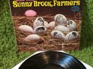 REBECCA & THE SUNNY BROOK FARMERS BIRTH •1969• Acid Archives RARE psych Musicor