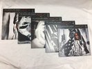 The Mississippi Sheiks Complete Recorded Works Volumes 1 - 5, Third Man Records