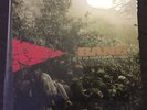Bane -orangeLP fastbreak hardcore sxe punk in my eyes