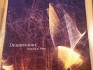 DESERTSHORE Drawing Of Threes LP ORANGE VINYL mark kozelek.sun kil moon LTD 500
