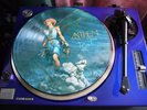 TOYAH - RARE ONESIDED PICTURE DISC ARTWORK IS ANTHEM BUT IT PLAYS THE CHANGELING
