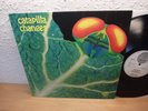 CATAPILLA CHANGES 1972 MINT VERTIGO SWIRL HAMMER RAAAAR