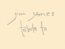 Jim James Tribute To Vinyl LP Record my morning jacket george harrison/bob dylan