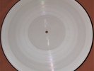 THE DAMNED GRAVE DISORDER LP TEST PRESSING PICTURE DISC PUNK DAVE VANIAN