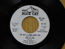 The Ad Libs 45 I`M JUST A DOWN HOME GIRL / JOHNNY MY BOY   Blue Cat M-
