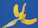 Chris Rea God's Great Banana Skin UK vinyl LP album record WX496 EASTWEST 1992