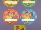 Queen + Paul Rogers - Original N.A. Tour Passes 2006 - Unused Stock