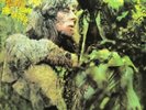 JOHN MAYALL-BLUES FROM LAUREL CANYON  VINYL NEUF