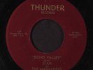 STAN & MARAUDERS: Echo Valley / Forgive Me 45 (plays fine, scarce) Rockabilly