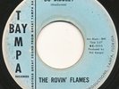 ROVIN' FLAMES on Tampa Bay —BO DIDDLEY— garage rock 45 | RARE | LISTEN