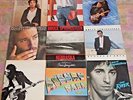 9 Bruce Springsteen LP Lot- Born in the USA, Nebraska, Born to Run, Darkness