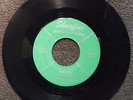 THE REVLONS Sugaree SHURFINE 46 M- Listen  GARAGE