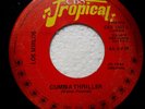 LOS MIRLOS CUMBIA TRILLER MICHAEL JACKSON PERUVIAN  CUMBIA  ??? # 63