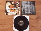 DISCIPLINE NICE BOYS FINISH LAST-LP-BUSINESS-CRO MAGS-WARZONE-OI-HARDCORE-RYKERS