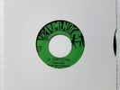 MARIMBA ALMA DE GUATEMALA LA SAMPOESANA VERY RARE 45 DJ´s CUMBIA ??? # 171