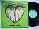 FAMILY TREE Somewhere In Your Heart CUSTOM SOUND Private Soul Funk Lounge LP