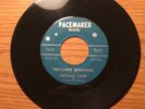 TEXAS GARAGE 45 GAYLAN LADD REPULSIVE SITUATION PACEMAKER 257
